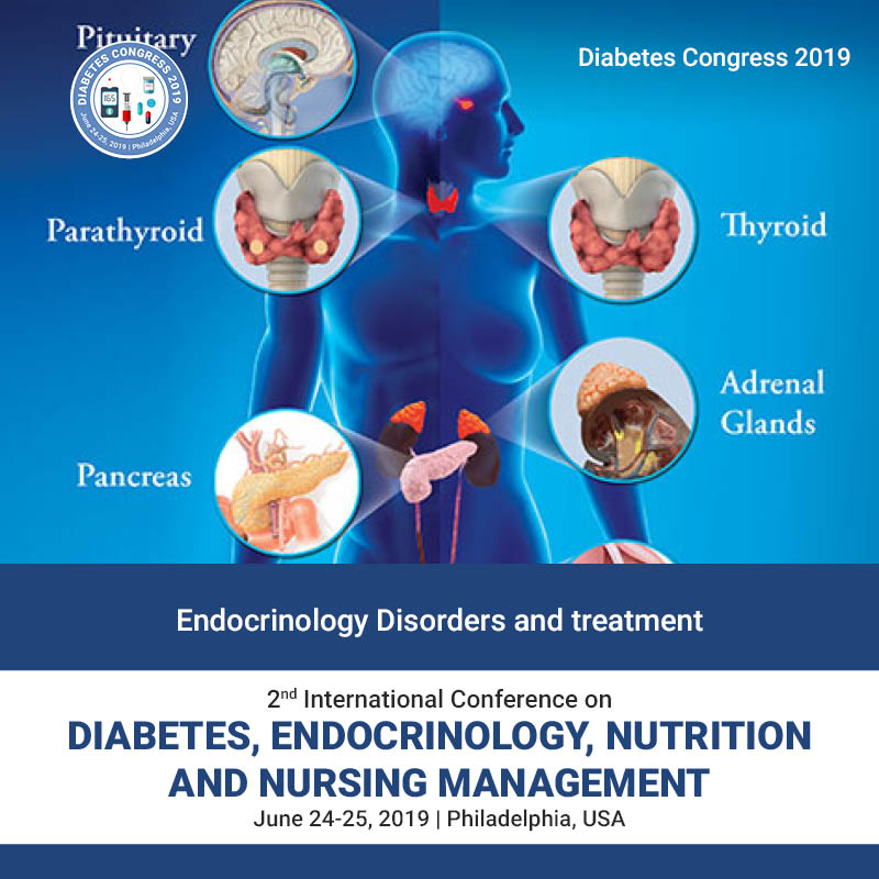 Diabetes Endocrine Disorder - DiabetesWalls